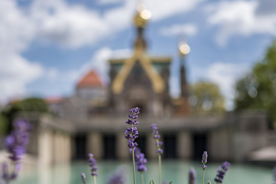 Lavendel vor dem Albin-Müller-Becken und der Russischen Kapelle auf der Mathildenhöhe in Darmstadt.
