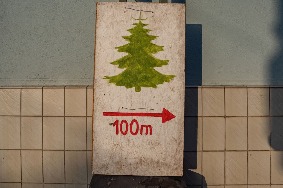 Ein Wegweiser zu einem Weihnachtsbaumverkauf. Auf dem Schild sind ein handgemalter grüner Nadelbaum, ein roter Pfeil nach rechts und darunter steht 100 Meter.